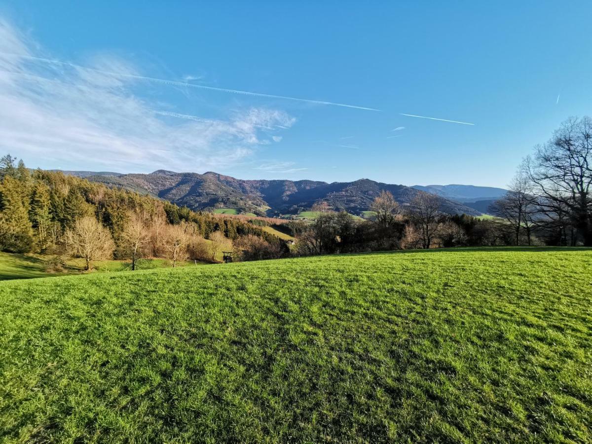 Modernes Appartement Schwarzwald Naehe Freiburg วินเดิน อิม เอลซ์ทาล ภายนอก รูปภาพ