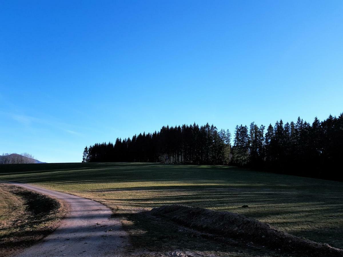 Modernes Appartement Schwarzwald Naehe Freiburg วินเดิน อิม เอลซ์ทาล ภายนอก รูปภาพ