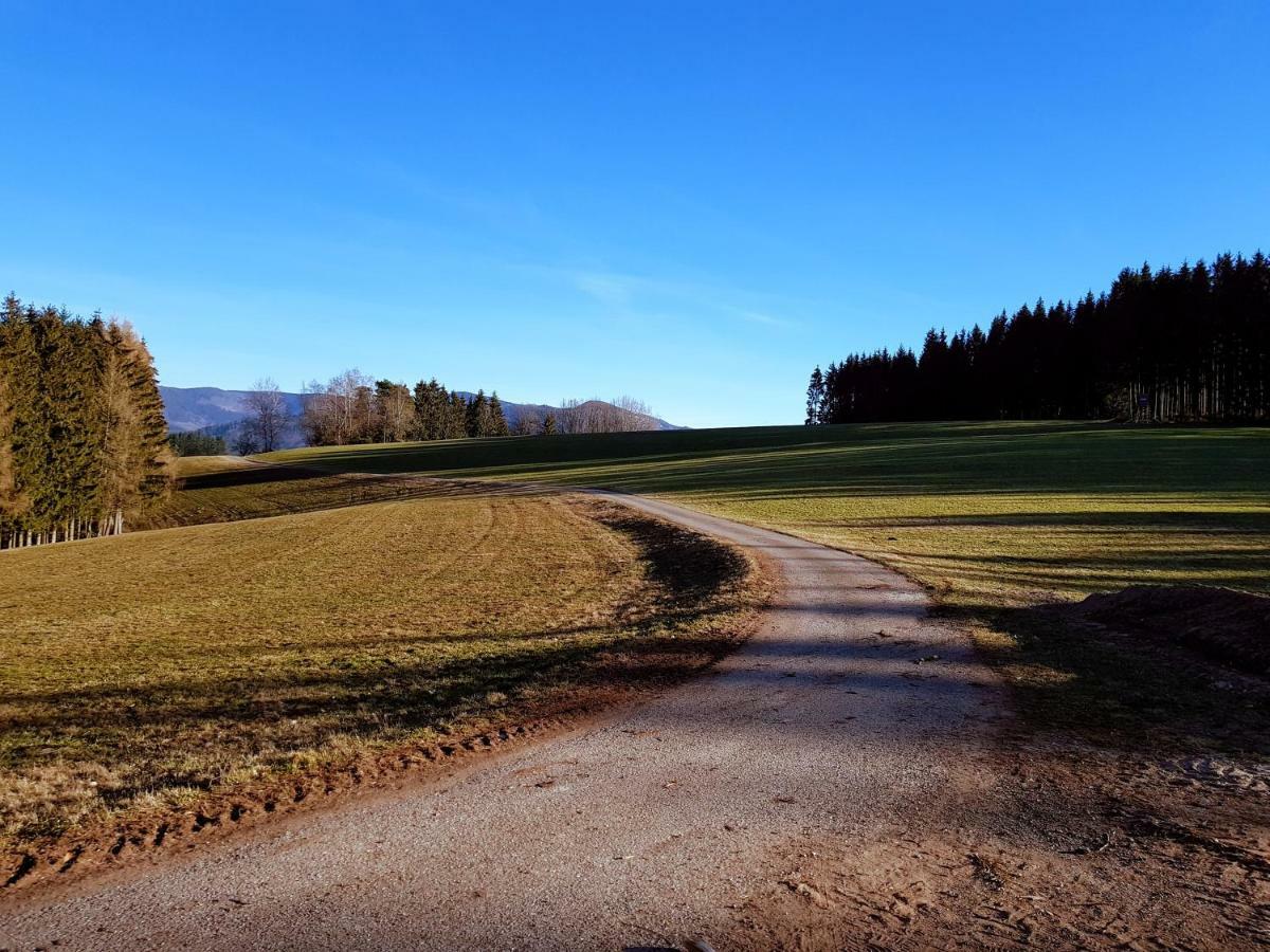 Modernes Appartement Schwarzwald Naehe Freiburg วินเดิน อิม เอลซ์ทาล ภายนอก รูปภาพ