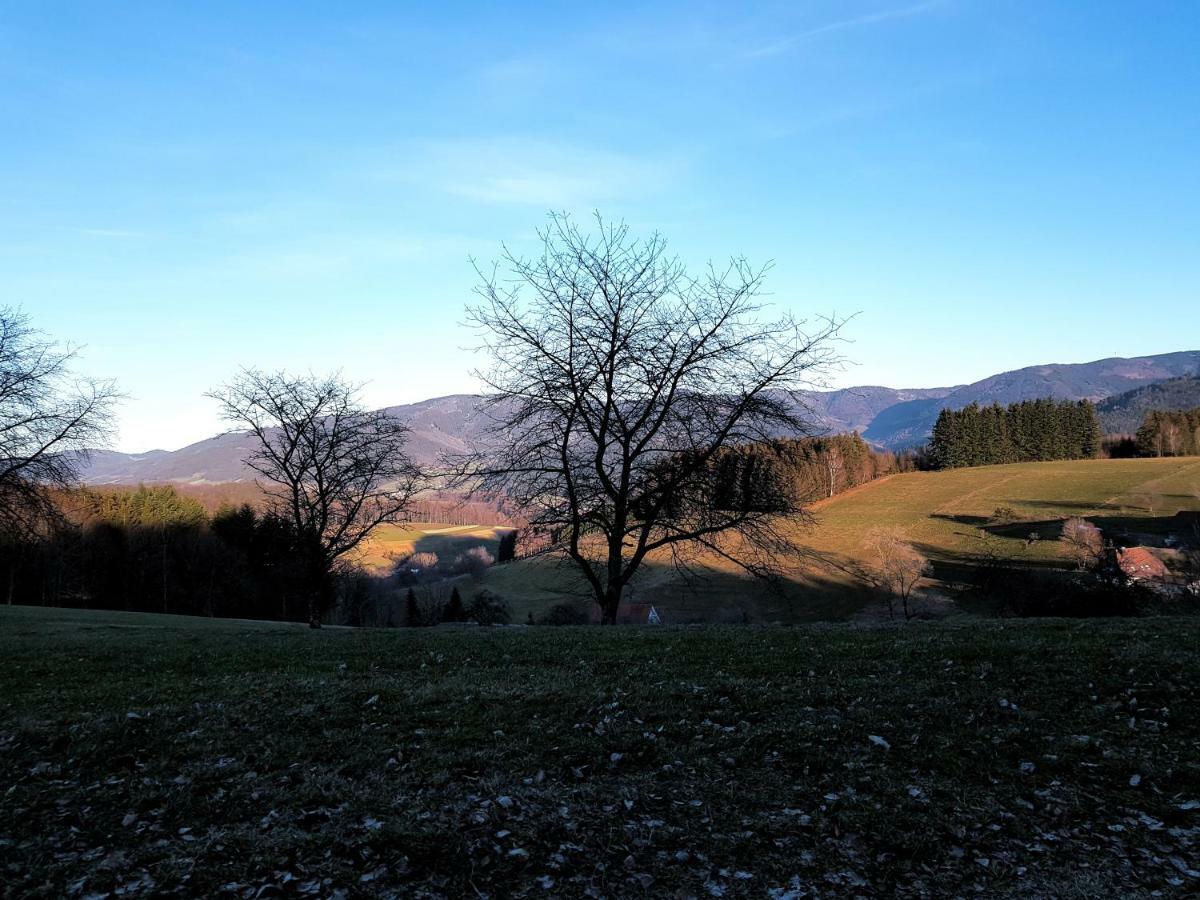 Modernes Appartement Schwarzwald Naehe Freiburg วินเดิน อิม เอลซ์ทาล ภายนอก รูปภาพ